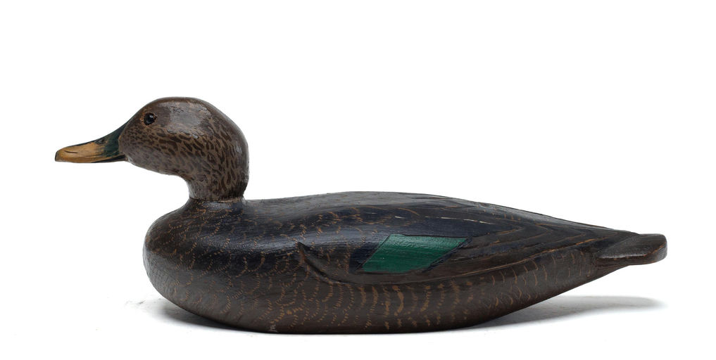 Charles Hart – Black duck – 2026