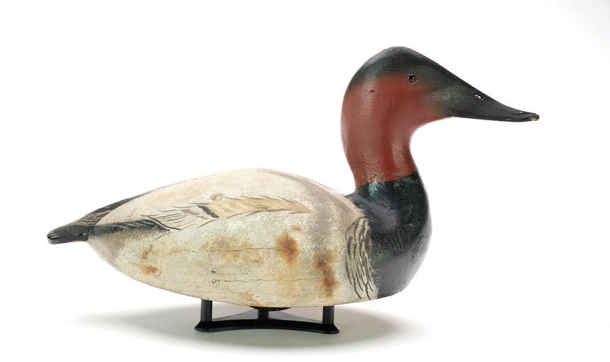 Ward Brothers – Canvasback – 2025