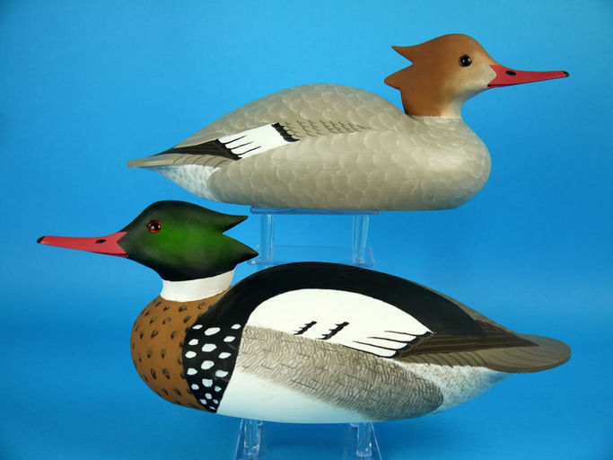 Bill Cranmer – Red-Breasted Mergansers – 2026