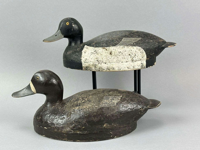 Joe Gigl – Bluebill Duck – 2026