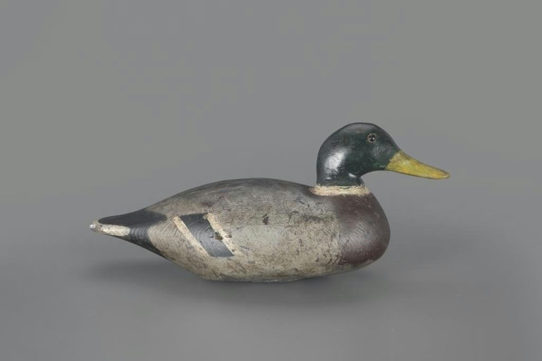 Texas Langford – Mallard – 2024