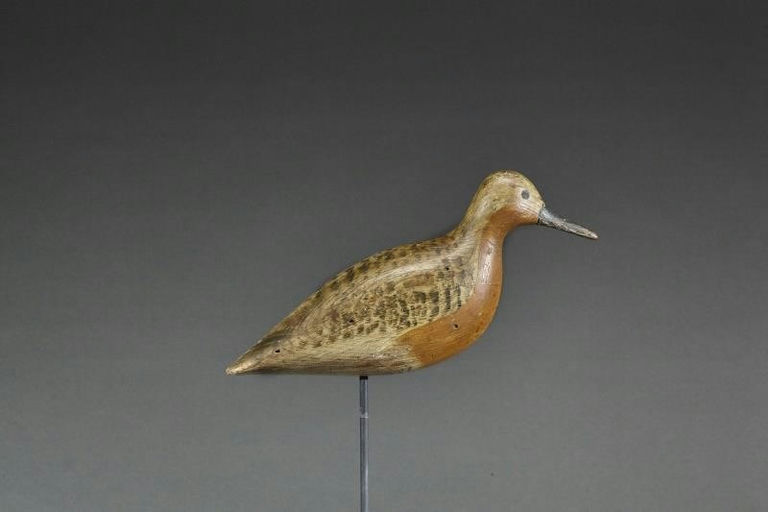 Harry V. Shourds – Robin Snipe – 2017