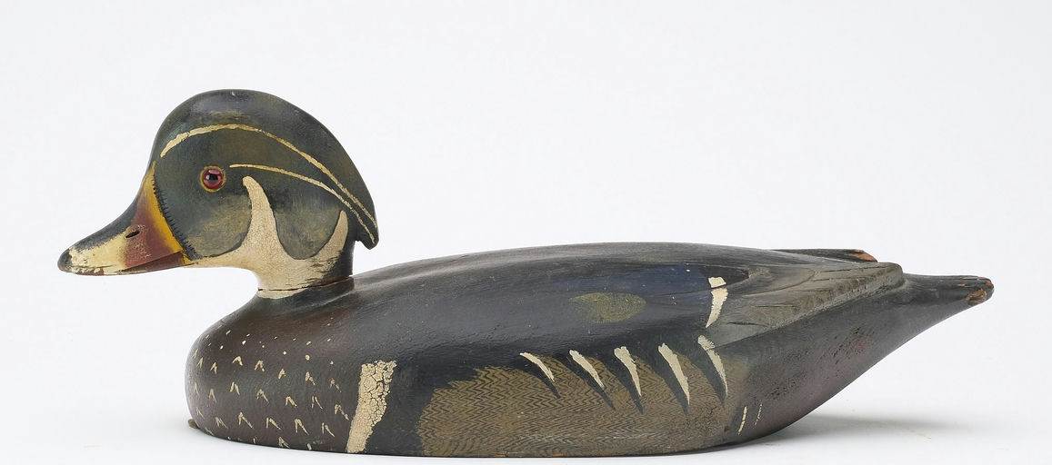 David W. Nichol – Wood Duck – 2024