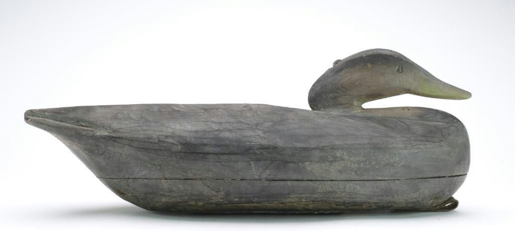 Pete Peterson – Black Duck – 2024