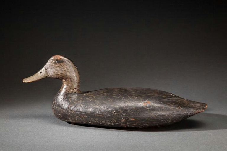 English Family – Black Duck – 2014