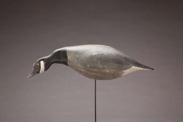 John Tax – Feeding Canada Goose – 2011