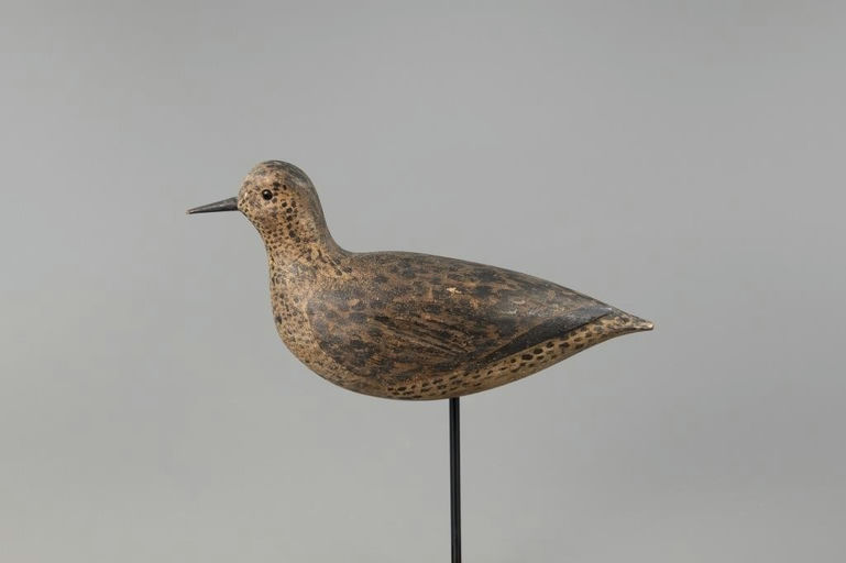 Thomas Gelston – O'Brien Gelston Plover – 2025