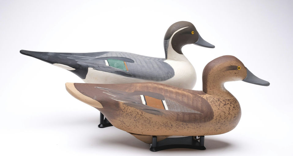 R. Madison Mitchell – Pair of Pintail – 2026