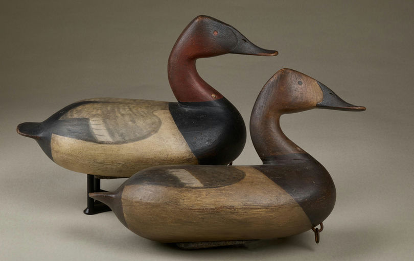 Cameron McIntyre – Pair of Canvasback – 2025