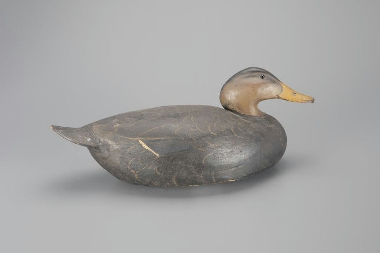 Ward Brothers – Black Duck – 2024