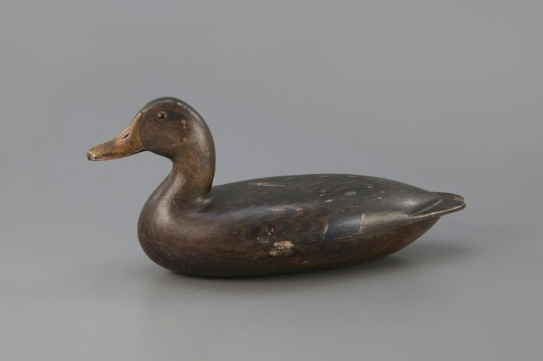 Charles Walker – Mallard Hen – 2025
