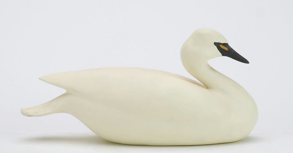 Bob White – Miniature Swan – 2024