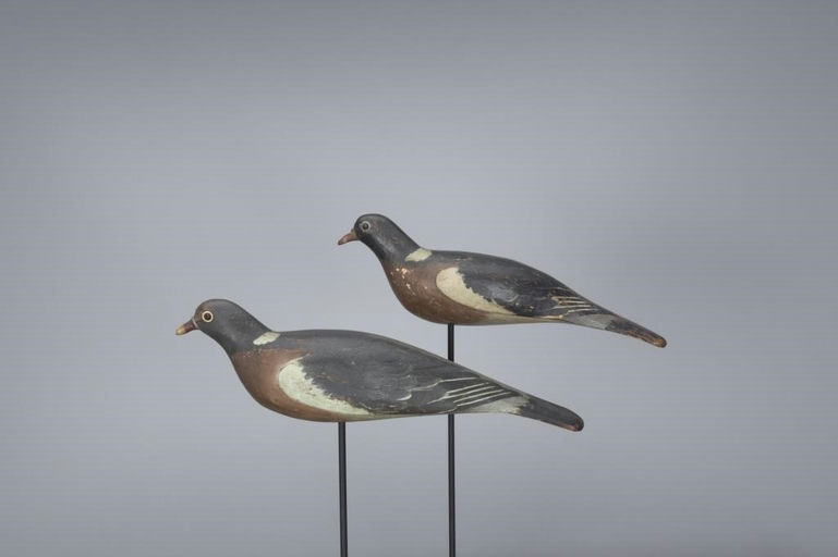 Harry E. Boddy – Wood Pigeon Pair – 2017