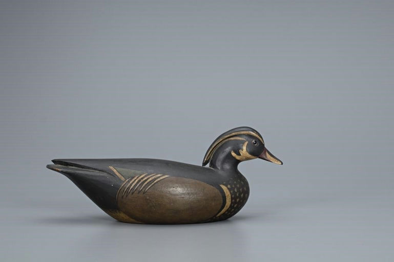 Mark McNair – Wood Duck – 2020