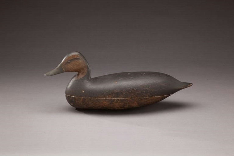 Harry V. Shourds – Black Duck – 2011