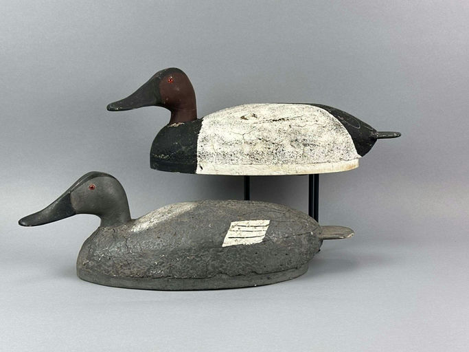 Joe Gigl – Canvasback Duck – 2026