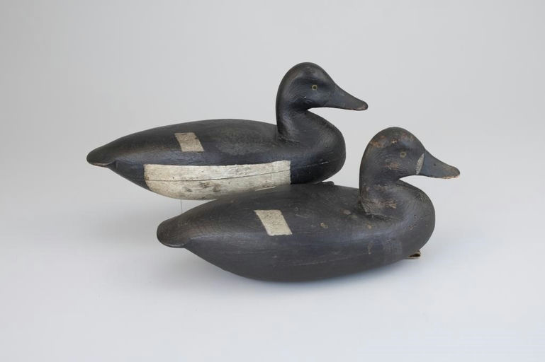Jesse Birdsall – Hollow Bluebill Pair – 2026