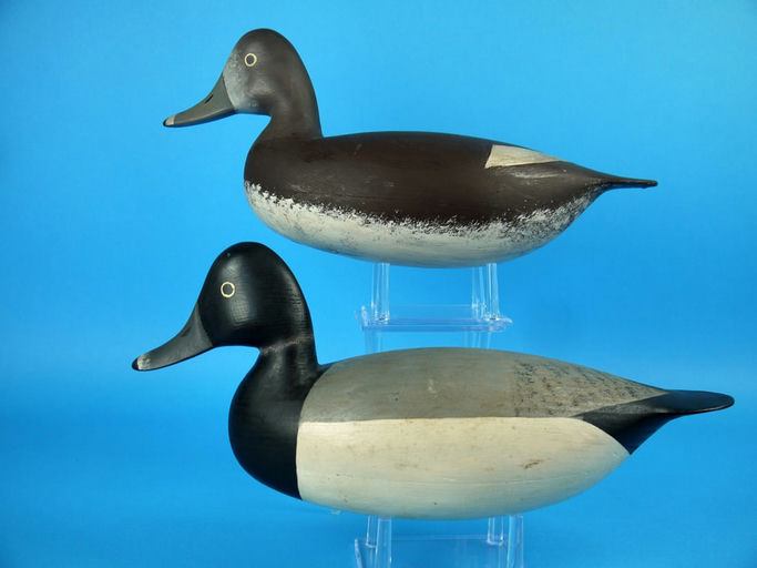 Hurley Conklin – Broadbill Pair – 2026