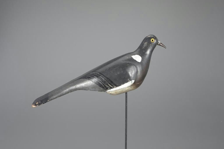 George G. Bussey Co. – English Wood Pigeon – 2025