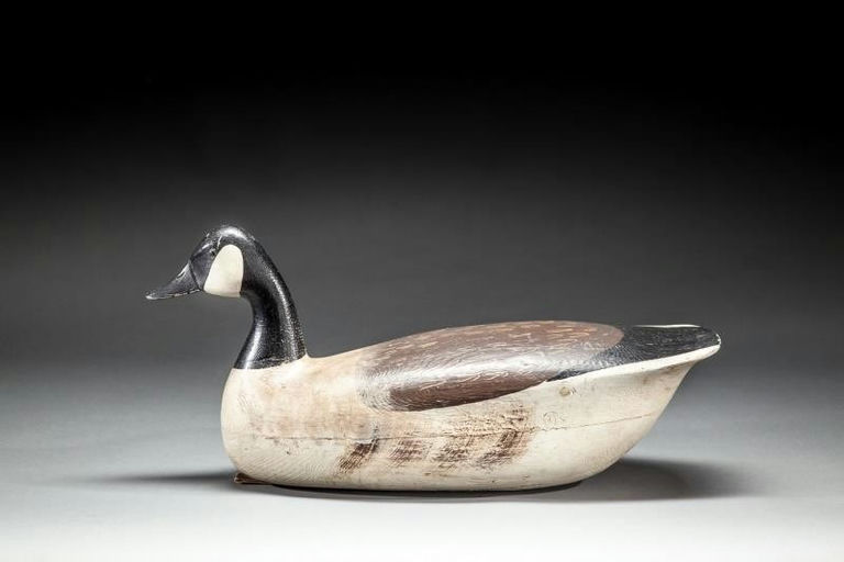 George Gaskill – Bold Canada Goose – 2016