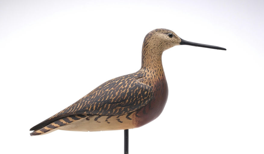 Grayson Chesser – Dowitcher – 2026