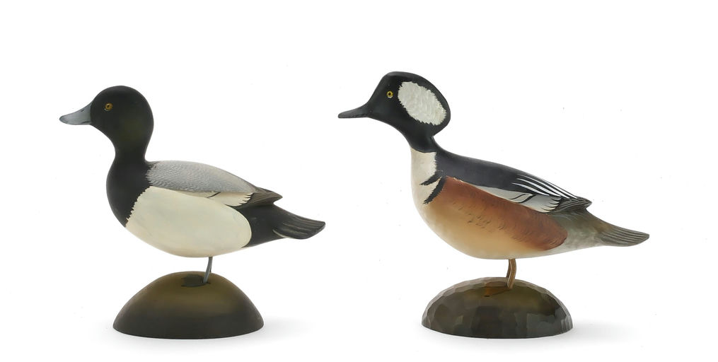 George Strunk – Hooded Merganser – 2024