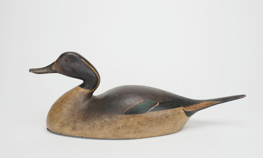 Cameron McIntyre – Pintail Drake – 2025