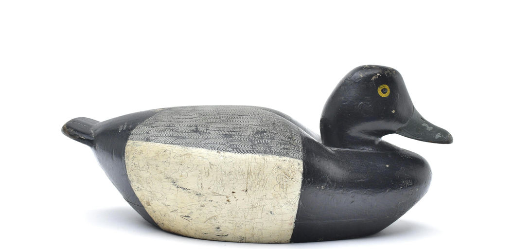 Benjamin Holmes – Scaup – 2026