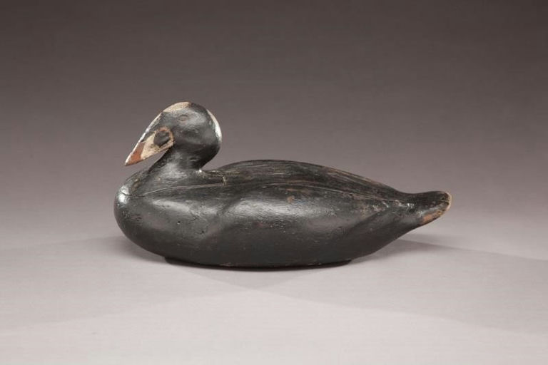 Gus Wilson – Surf Scoter – 2011