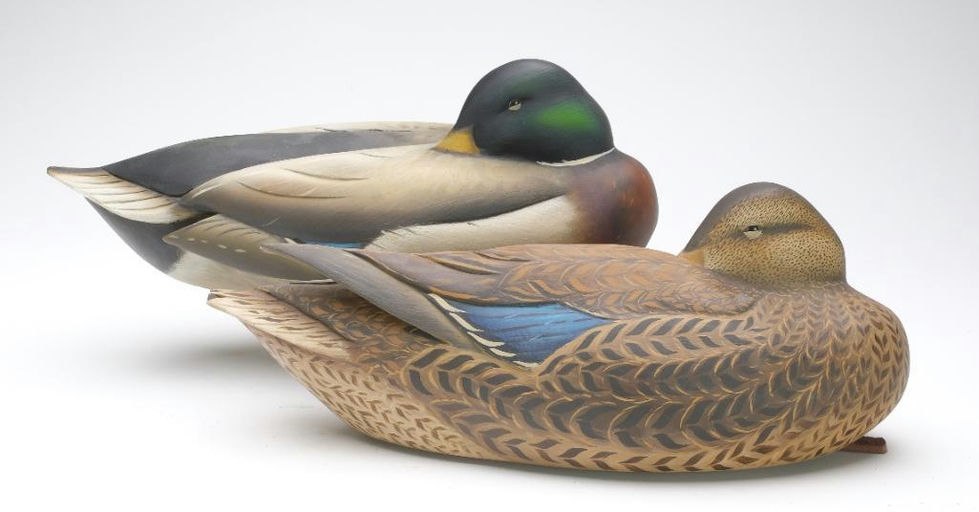Sean Sutton – Pair of Mallard – 2023