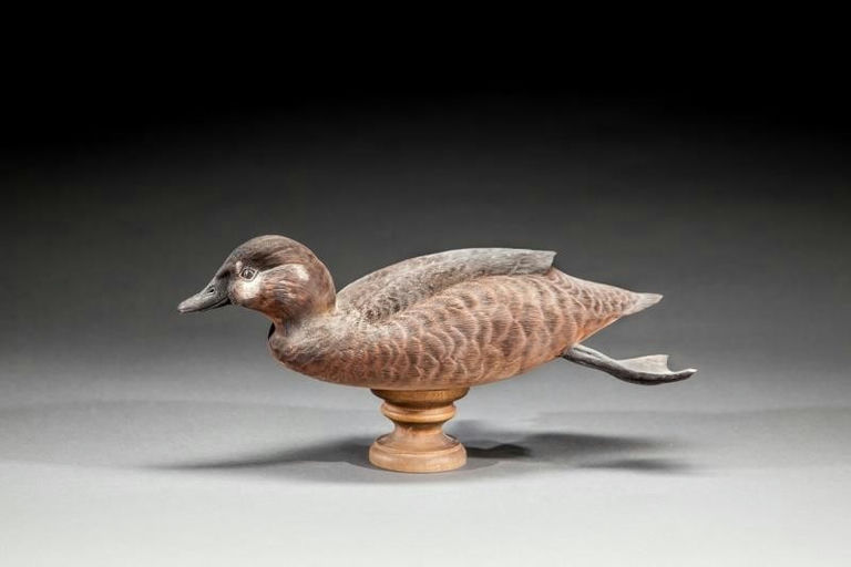 Roger C. Mitchell – Harlequin Duck Hen – 2016