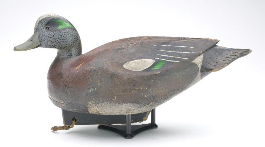 Jim Schmiedlin – Wigeon – 2023