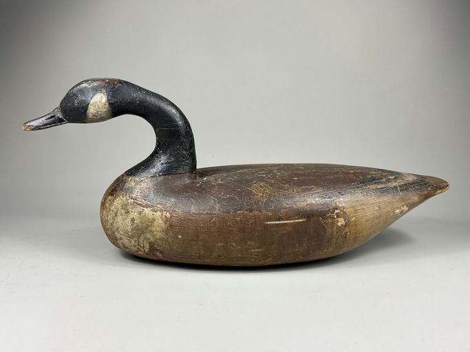 Ira Hudson – Canada goose – 2026
