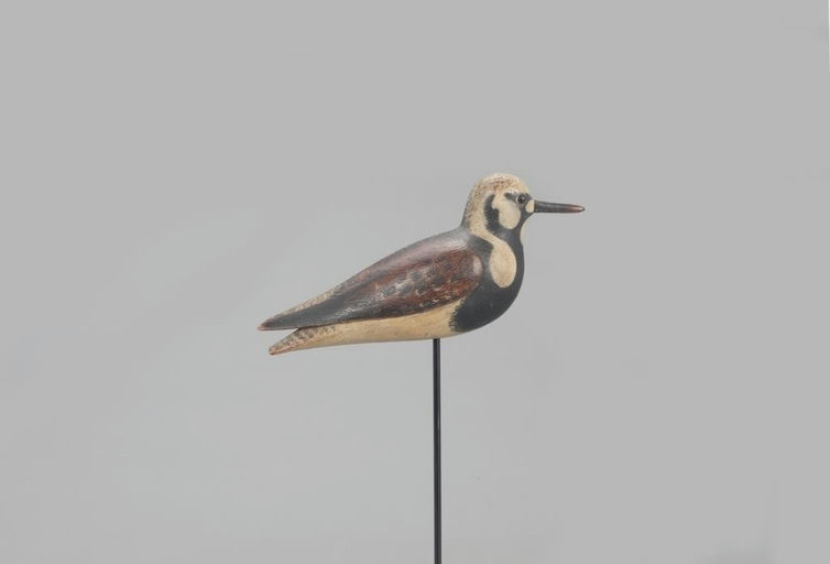 Mark McNair – Ruddy Turnstone – 2021