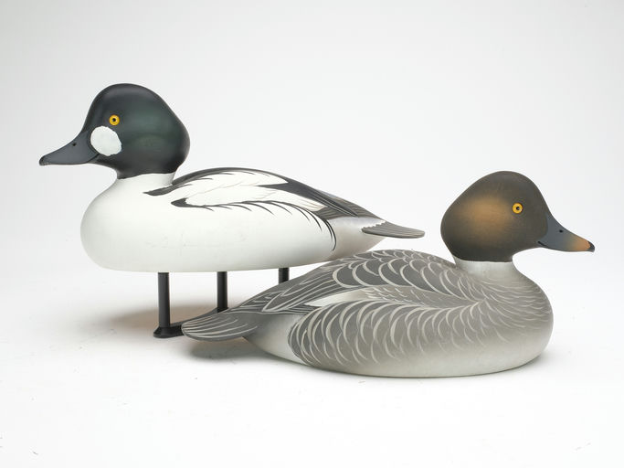 Oliver Lawson – Pair of Goldeneye – 2023