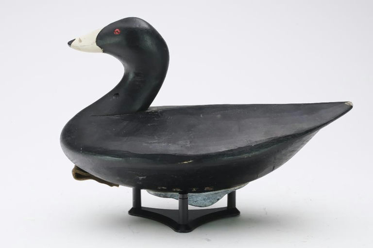 Pete Peterson – Coot – 2024