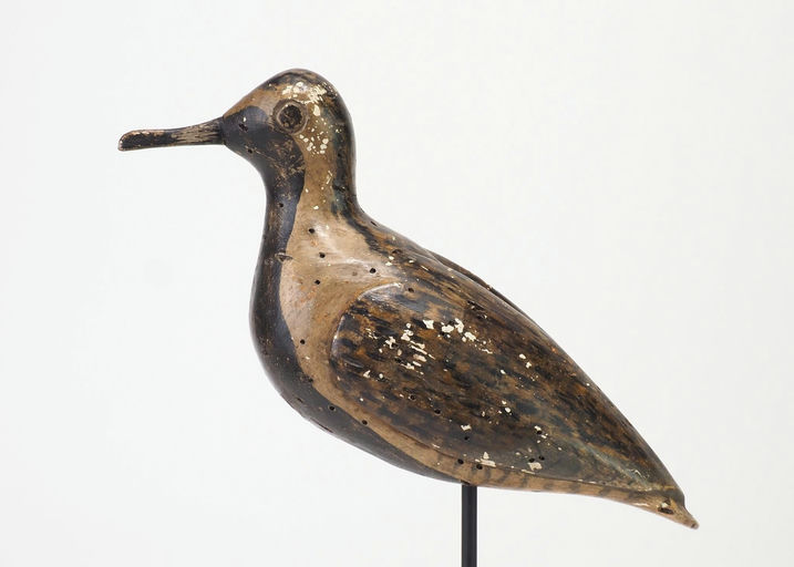 Henry Osbourne — Black Bellied Plover