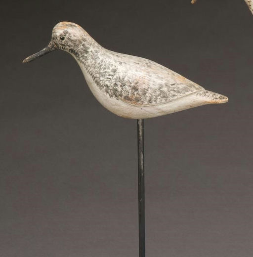 Verity Family – Sanderling – 2010