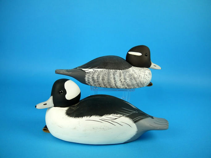 Art Birdsall – Bufflehead Pair – 2026