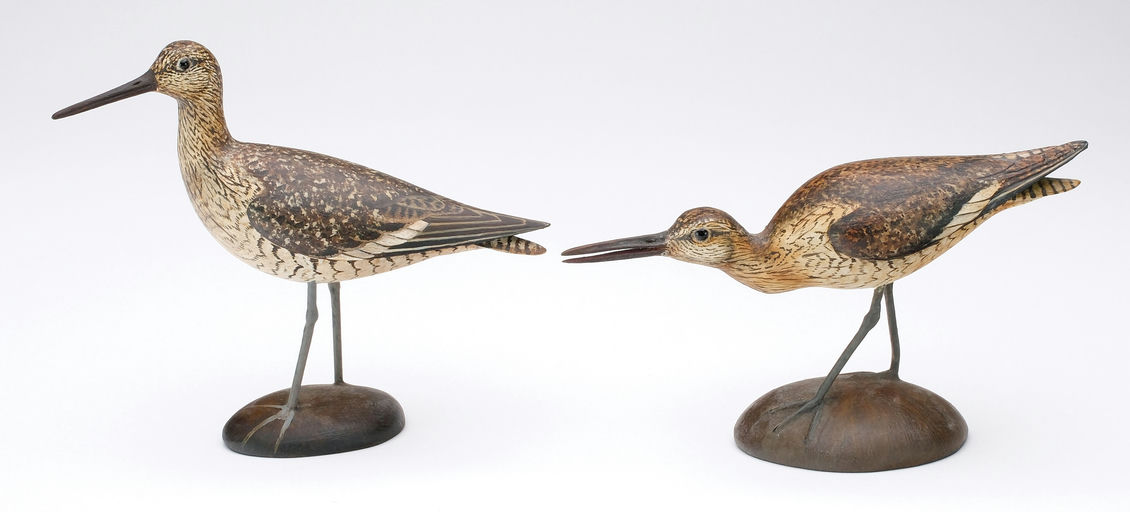 Bill Gibian – Miniature Willet – 2024