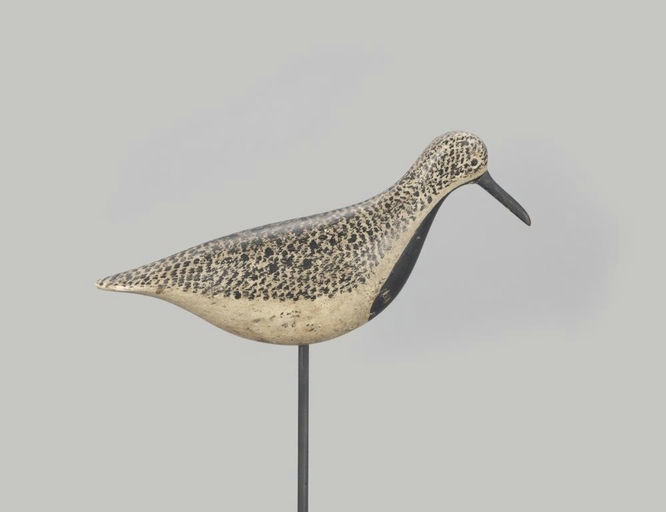 Verity Family – Black-Bellied Plover – 2022