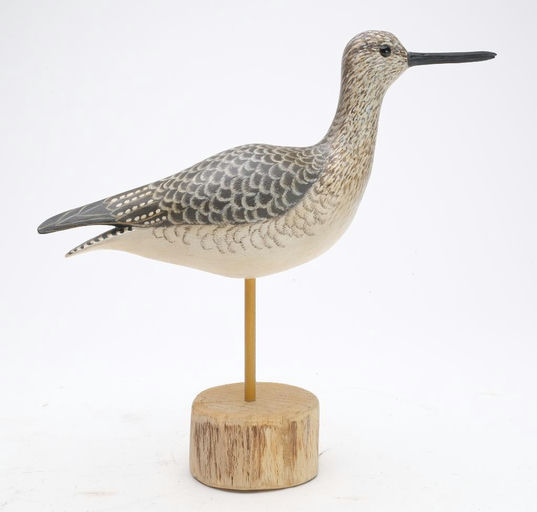 Cigar Daisey – Yellowlegs – 2023