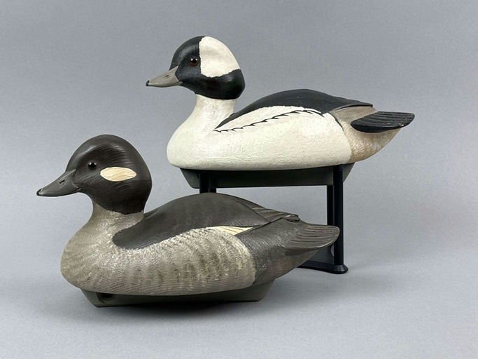 Marv Meyer – Bufflehead – 2026
