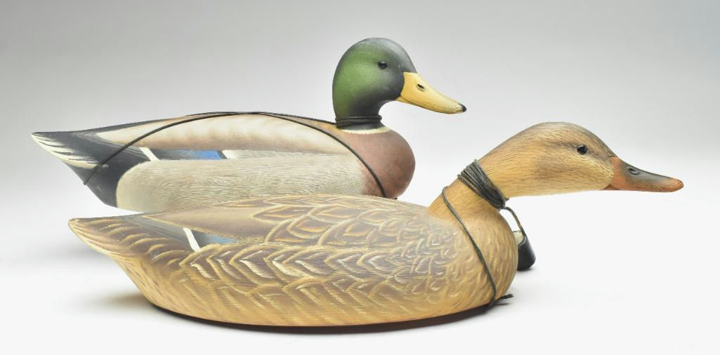 Robert Capriola — Pair of Mallard