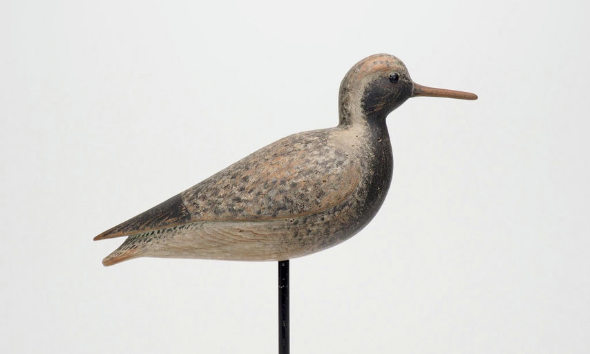 Mark McNair – Black Bellied Plover – 2025