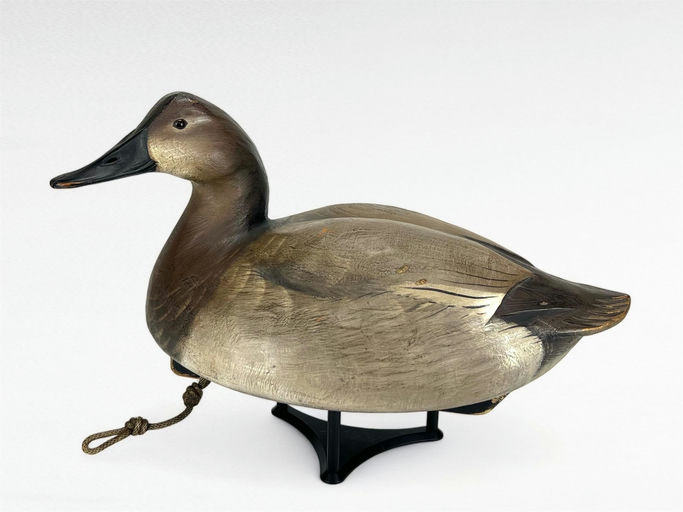 Jim Schmiedlin – Canvasback Hen – 2024