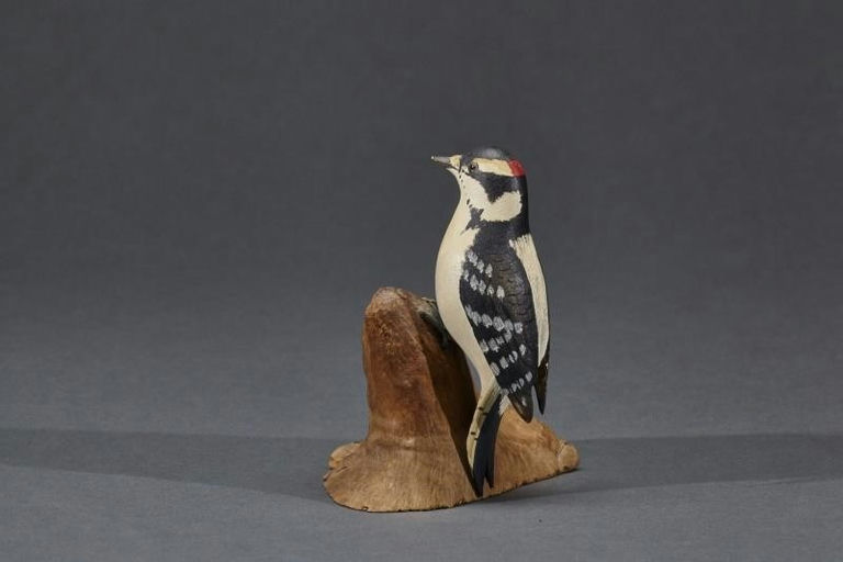 Robert Morse – Miniature Downy Woodpecker – 2017