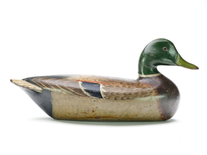 Charles Perdew – Mallard Drake – 2025