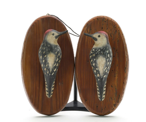 Pete Peterson – Pair of Sapsucker – 2024