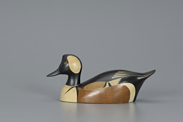 Ken Harris – Hooded Merganser Drake – 2019